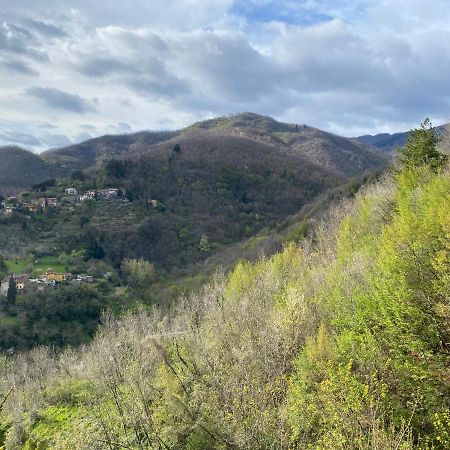 Casa Vacanze Giuliana Villore 외부 사진